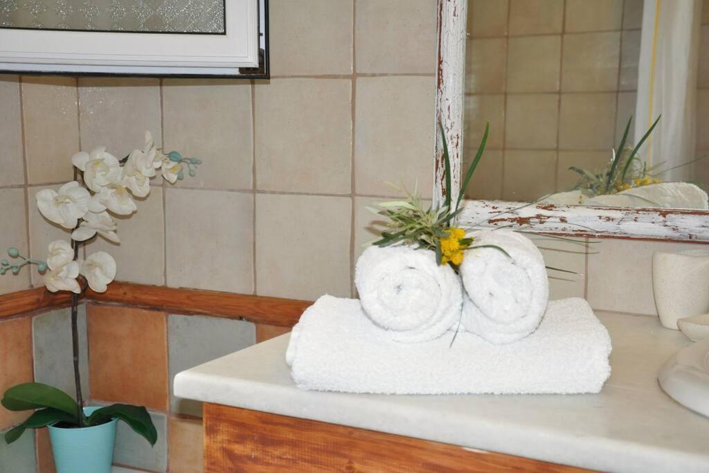 Villa Erietta Near Lefkas Center Apolpaina المظهر الخارجي الصورة