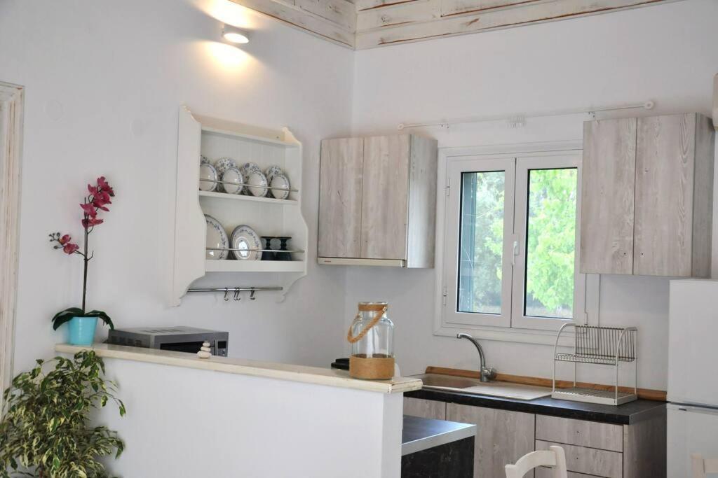 Villa Erietta Near Lefkas Center Apolpaina المظهر الخارجي الصورة