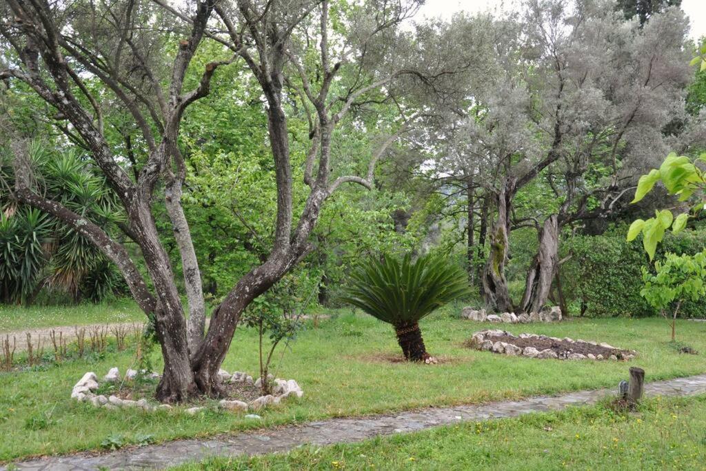Villa Erietta Near Lefkas Center Apolpaina المظهر الخارجي الصورة